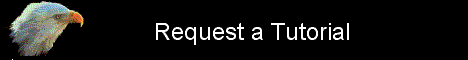 Request Tutorial